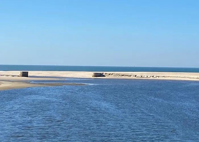 Espaco Alvim 公寓 *