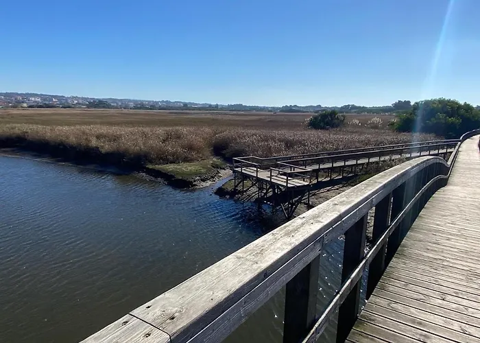 Espaco Alvim 公寓 伊斯莫里兹